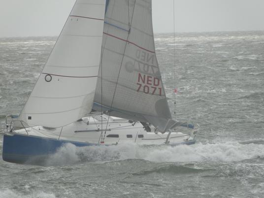 Stern 33